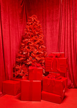 Load image into Gallery viewer, CHRISTMAS MINI SESSIONS 2025