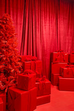 Load image into Gallery viewer, CHRISTMAS MINI SESSIONS 2025

