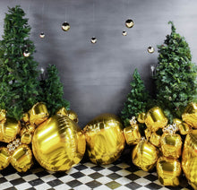 Load image into Gallery viewer, CHRISTMAS MINI SESSIONS 2025
